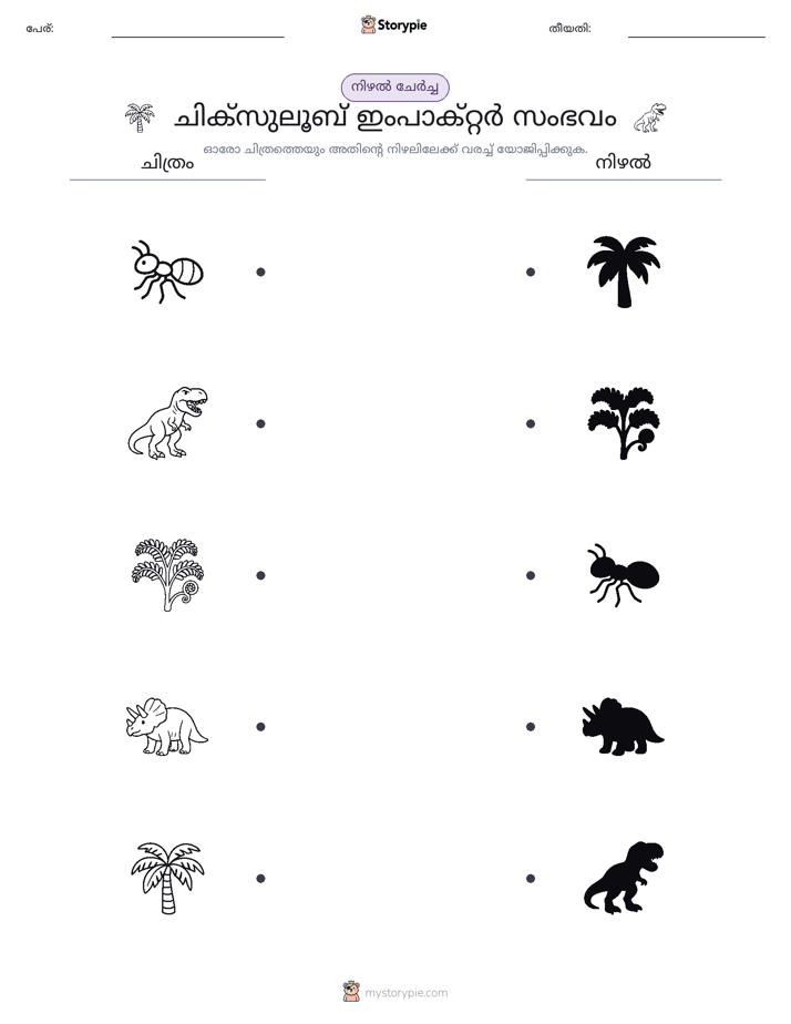 ഷാഡോ മാച്ച്