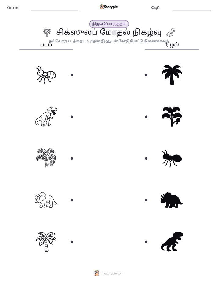 நிழல் பொருத்தம்