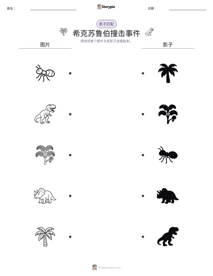 影子匹配