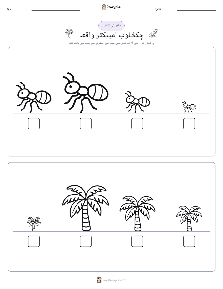 سائز کی ترتیب