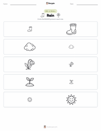 Rain printable worksheet preview