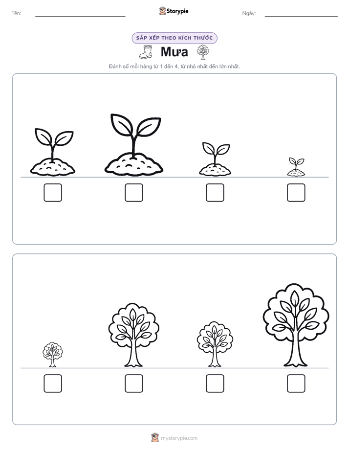 Thứ Tự Kích Thước