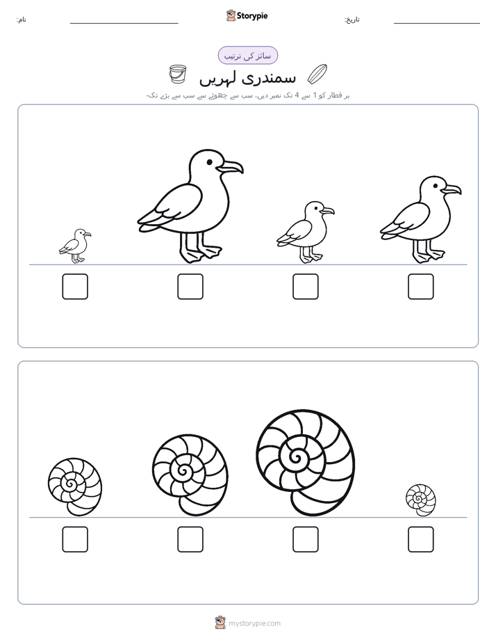 سائز کی ترتیب