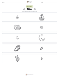 Tides printable worksheet preview