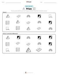 Prism printable worksheet preview