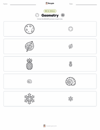 Geometry printable worksheet preview