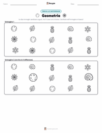 Anteprima della scheda stampabile di Geometria