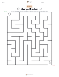 Ishango-Knochen druckbare Arbeitsblatt Vorschau