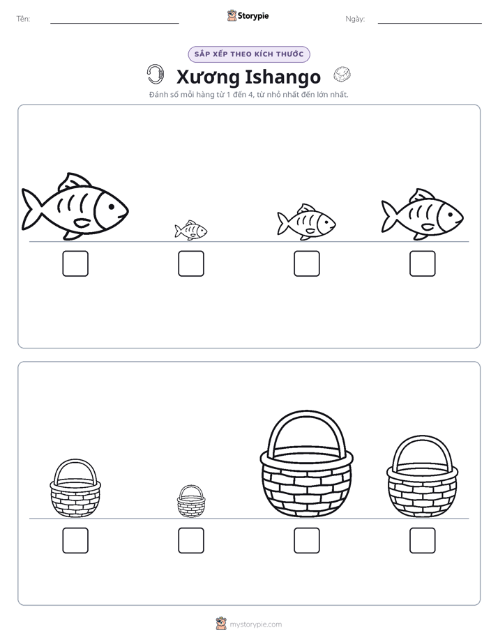 Thứ Tự Kích Thước