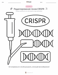 Редактирование генов CRISPR раскраска для детей