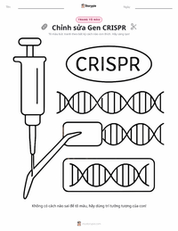 Xem trước tài liệu in sẵn Chỉnh sửa gen CRISPR