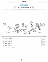 CRISPR遺伝子編集 の印刷可能ワークシートプレビュー