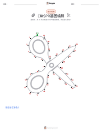 CRISPR基因编辑 可打印工作表预览
