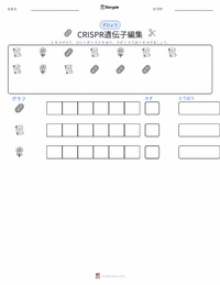 CRISPR遺伝子編集 の印刷可能ワークシートプレビュー