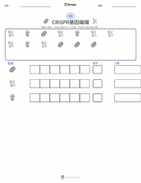 CRISPR基因编辑 可打印工作表预览