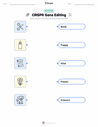 CRISPR Gene Editing printable worksheet for kids