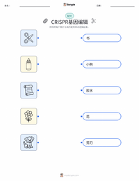 CRISPR基因编辑 可打印工作表，适合儿童