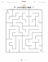 CRISPR遺伝子編集 の印刷可能ワークシートプレビュー