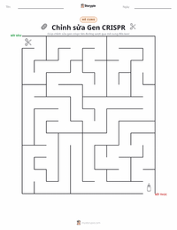 Xem trước tài liệu in sẵn Chỉnh sửa gen CRISPR