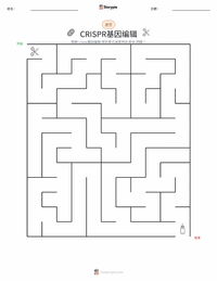 CRISPR基因编辑 可打印工作表预览