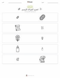 معاينة ورقة العمل القابلة للطباعة تعديل الجينات بتقنية كريسبر