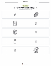 CRISPR Gene Editing printable worksheet preview