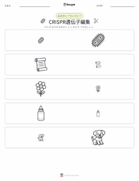 CRISPR遺伝子編集 の印刷可能ワークシートプレビュー