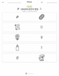 크리스퍼 유전자 편집 인쇄 가능한 워크시트 미리보기