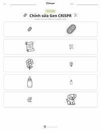 Xem trước tài liệu in sẵn Chỉnh sửa gen CRISPR
