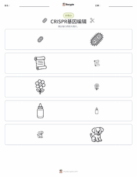 CRISPR基因编辑 可打印工作表预览