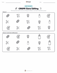 CRISPR Gene Editing printable worksheet preview