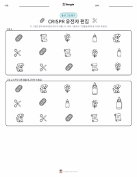 크리스퍼 유전자 편집 인쇄 가능한 워크시트 미리보기