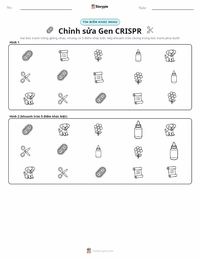 Xem trước tài liệu in sẵn Chỉnh sửa gen CRISPR