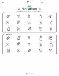 CRISPR基因编辑 可打印工作表预览