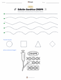 Vista previa de la hoja de trabajo imprimible de Edición Genética CRISPR