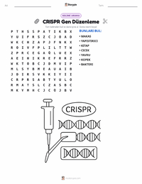 CRISPR Gen Düzenlemesi yazdırılabilir çalışma sayfası önizlemesi