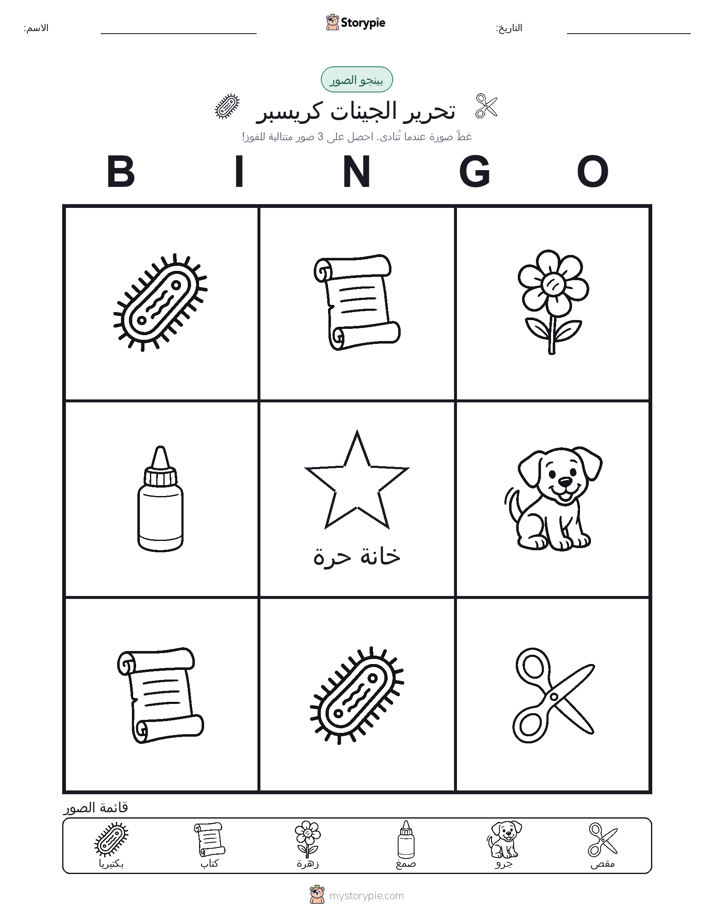 بينغو الصور