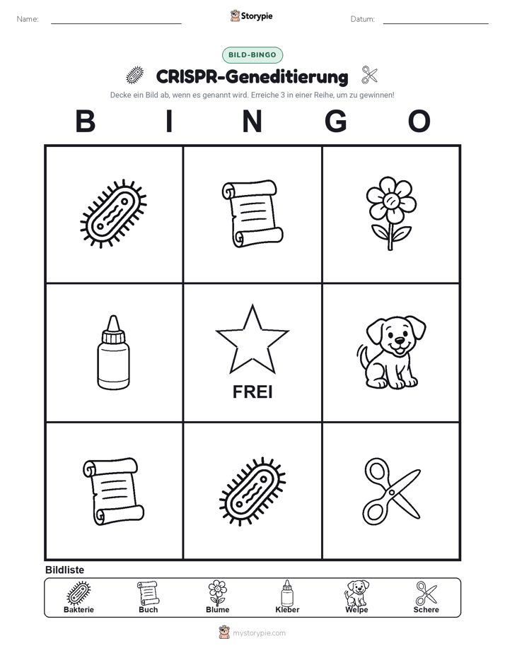 Bild-Bingo