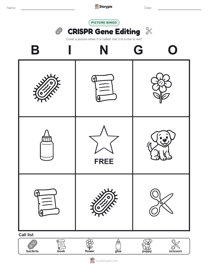 Picture Bingo
