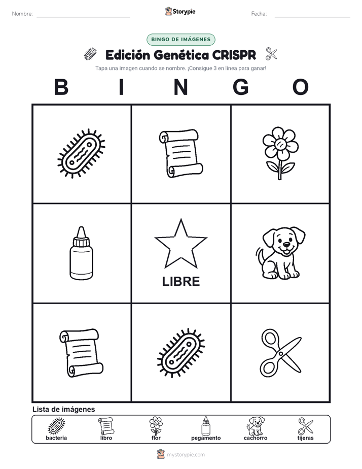 Bingo de Imágenes