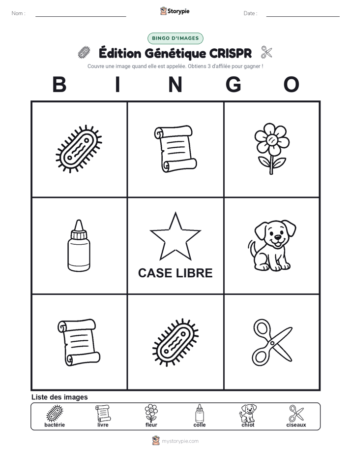 Bingo d'Images