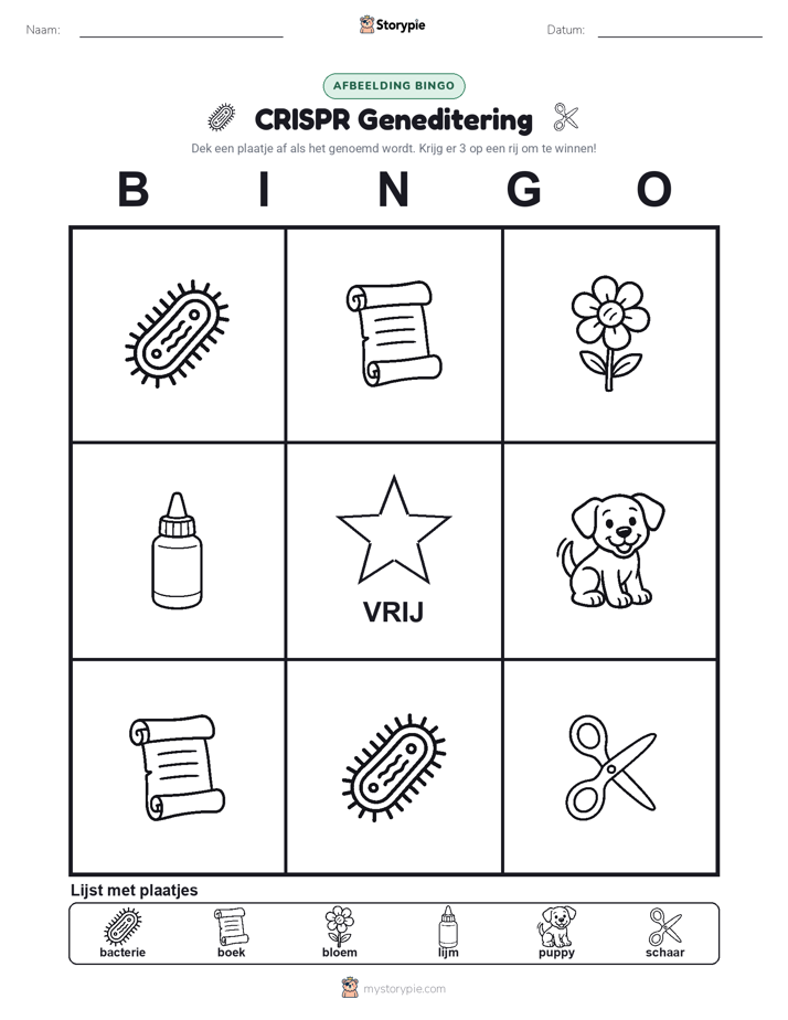 Afbeelding Bingo