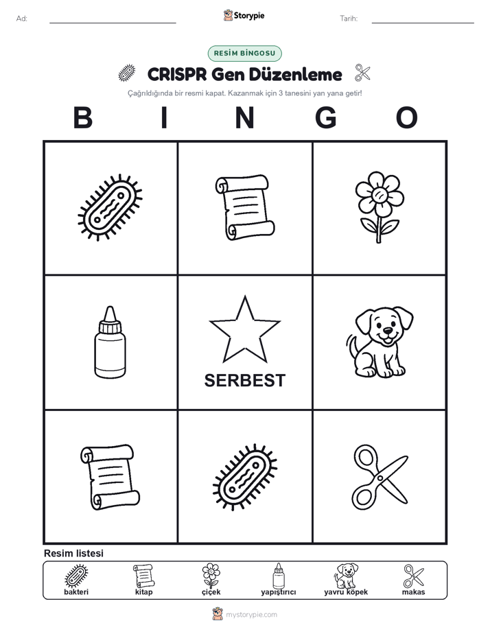 Resim Bingo