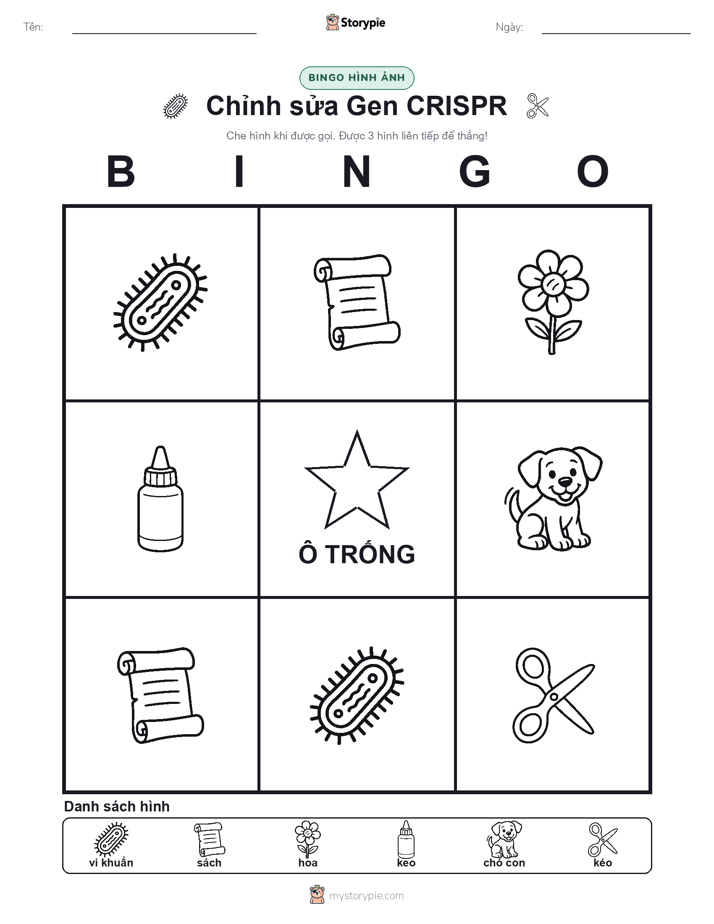 Bingo Hình Ảnh