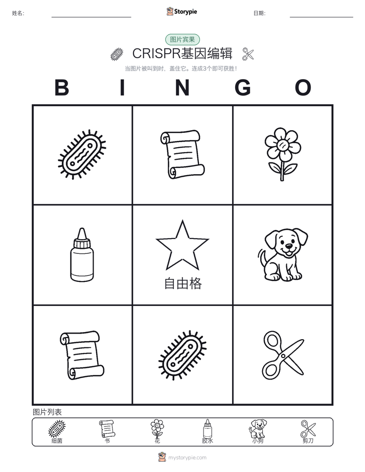 图片宾果