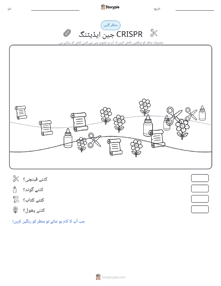 گنتی کا منظر