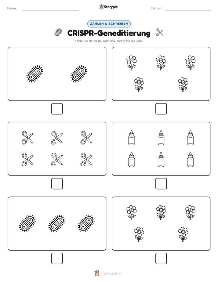 Zählen & Schreiben