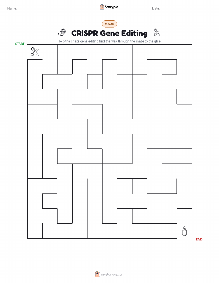 Maze