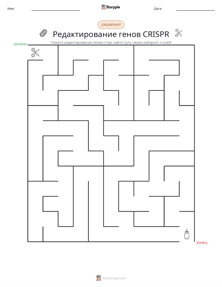 Лабиринт