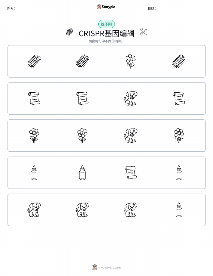 找不同